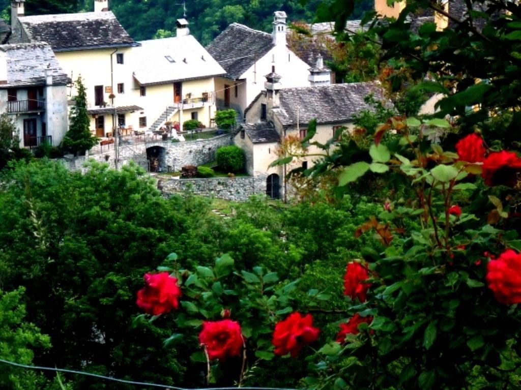 B&B Alpe Veglia Varzo Dış mekan fotoğraf
