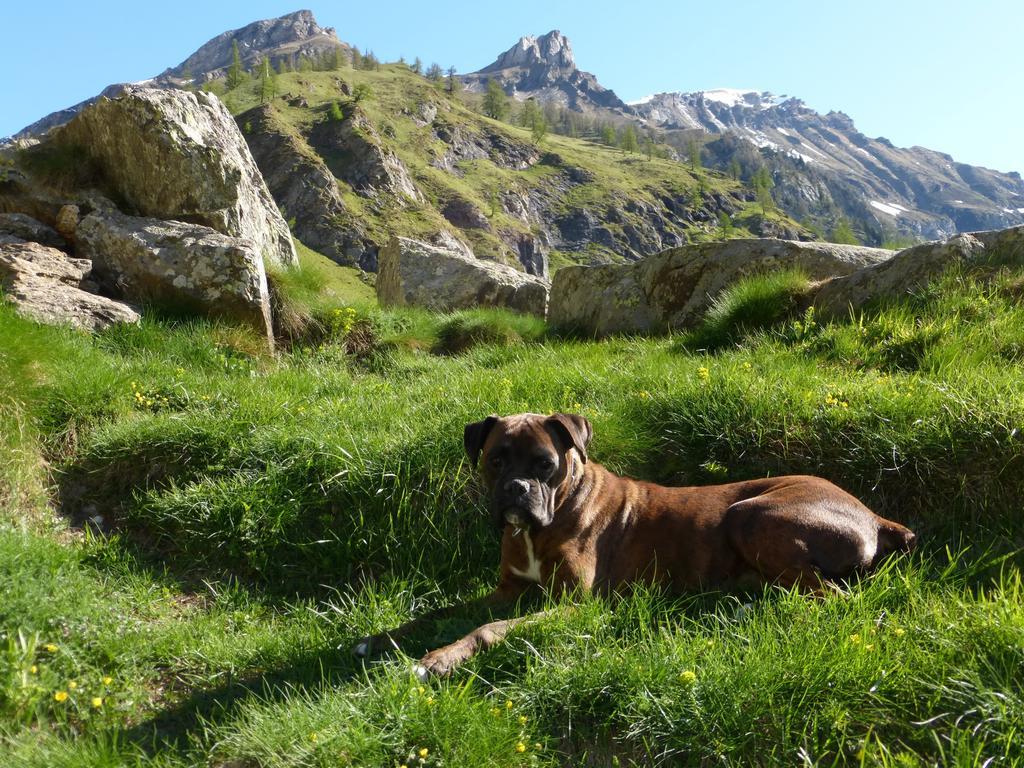 B&B Alpe Veglia Varzo Dış mekan fotoğraf