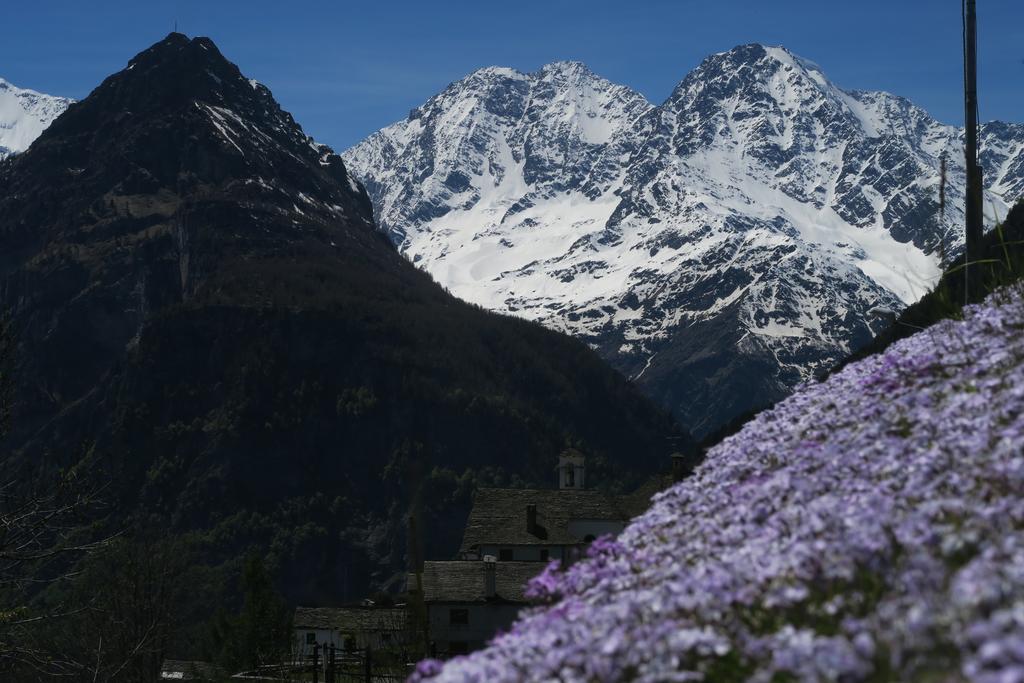 B&B Alpe Veglia Varzo Dış mekan fotoğraf