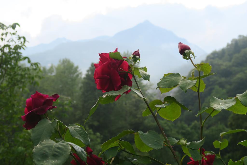 B&B Alpe Veglia Varzo Dış mekan fotoğraf