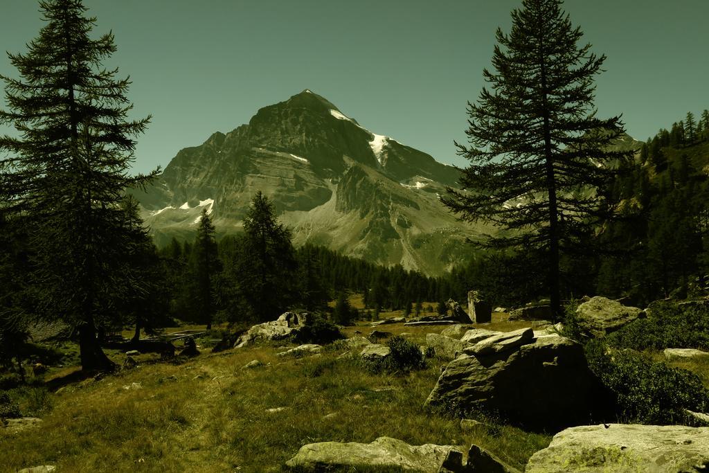 B&B Alpe Veglia Varzo Dış mekan fotoğraf