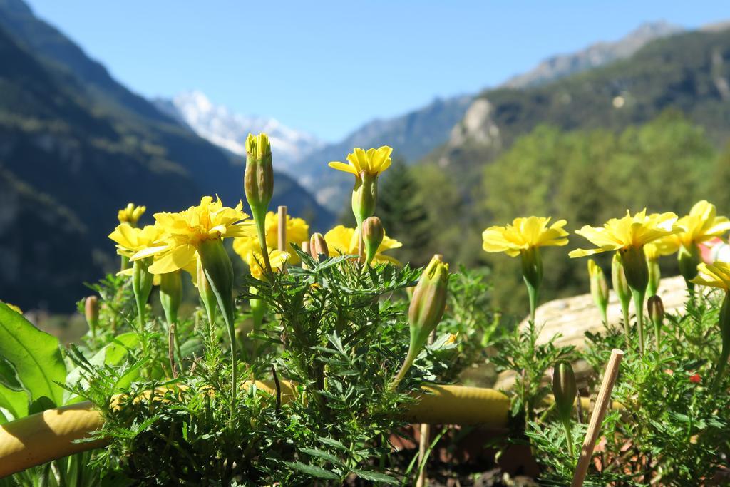 B&B Alpe Veglia Varzo Dış mekan fotoğraf