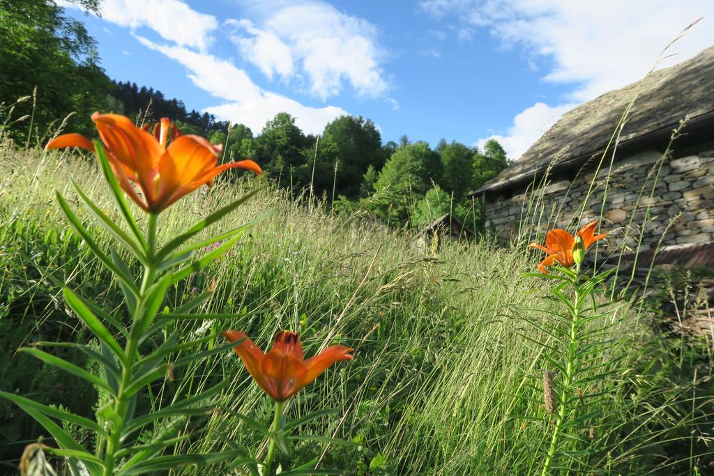 B&B Alpe Veglia Varzo Dış mekan fotoğraf