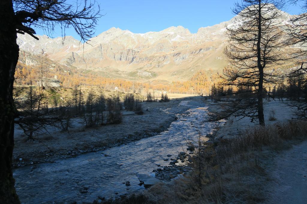 B&B Alpe Veglia Varzo Dış mekan fotoğraf