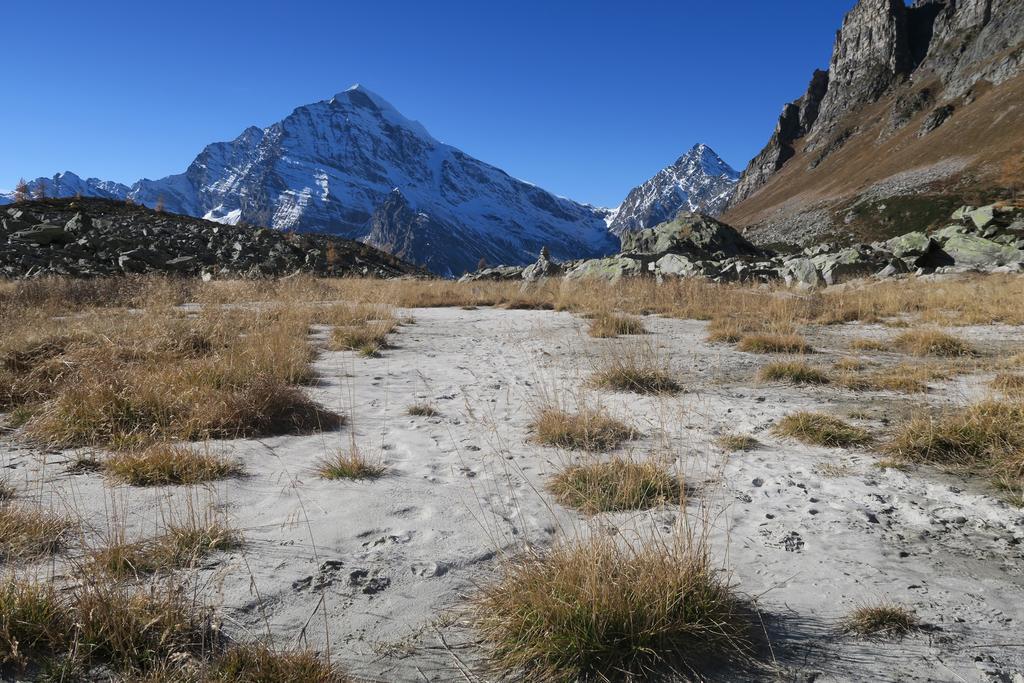 B&B Alpe Veglia Varzo Dış mekan fotoğraf