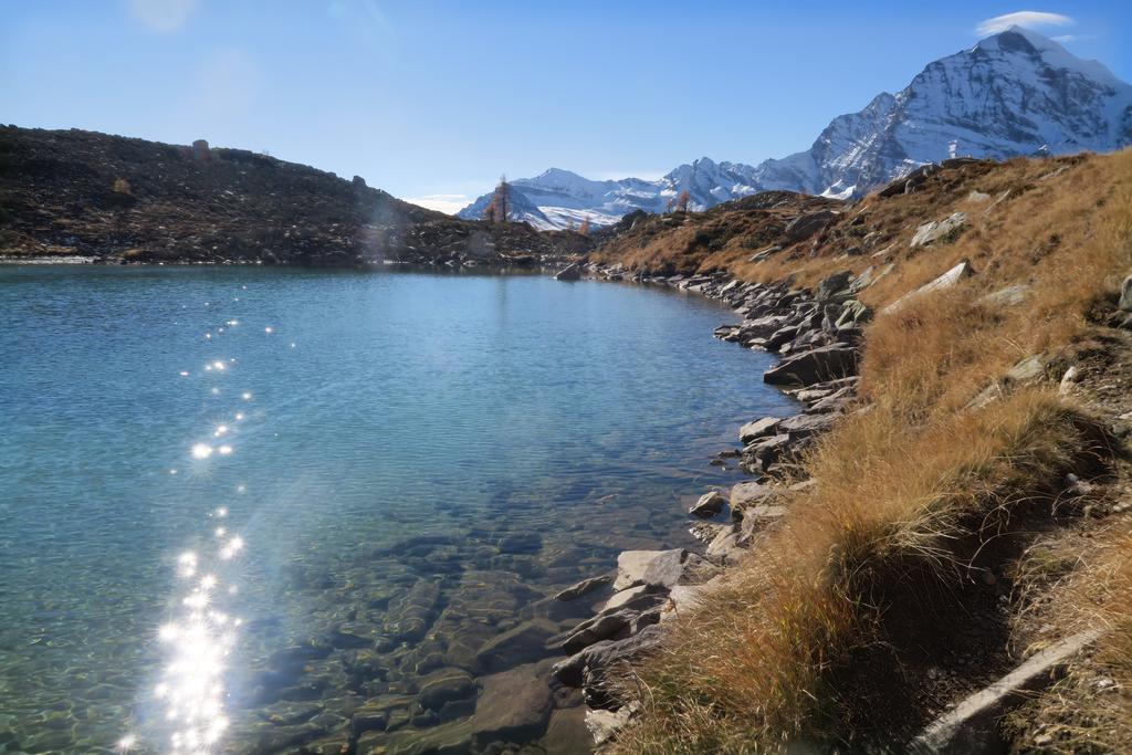 B&B Alpe Veglia Varzo Dış mekan fotoğraf