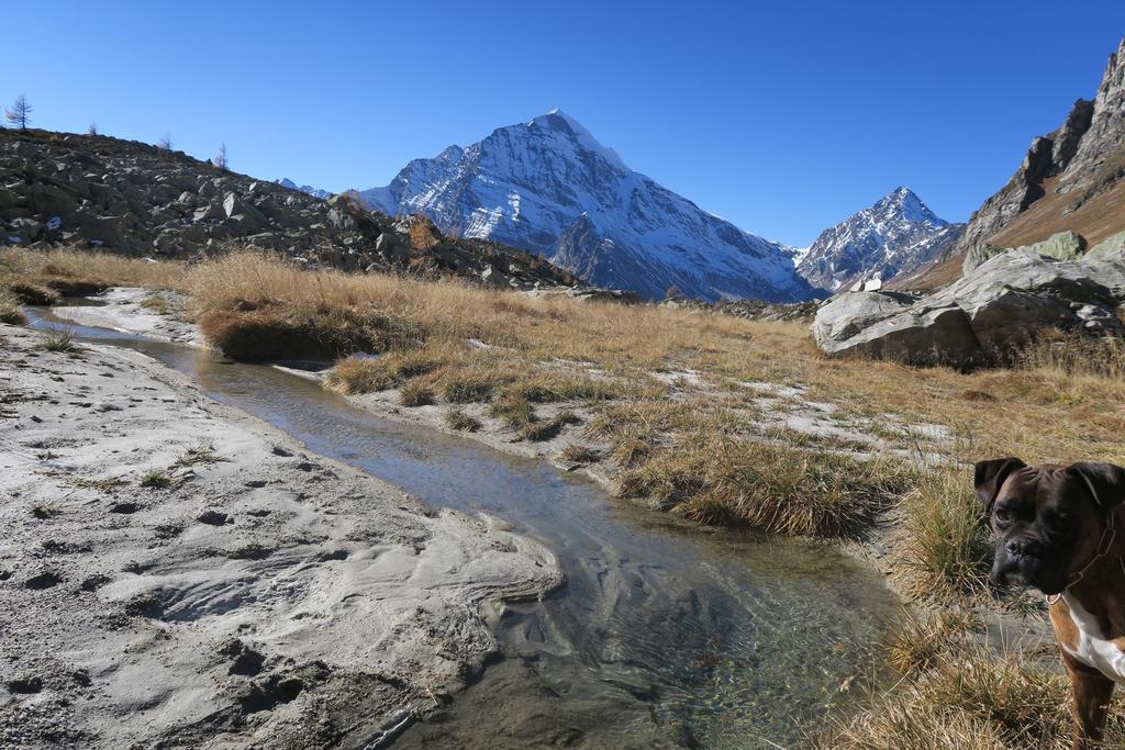 B&B Alpe Veglia Varzo Dış mekan fotoğraf