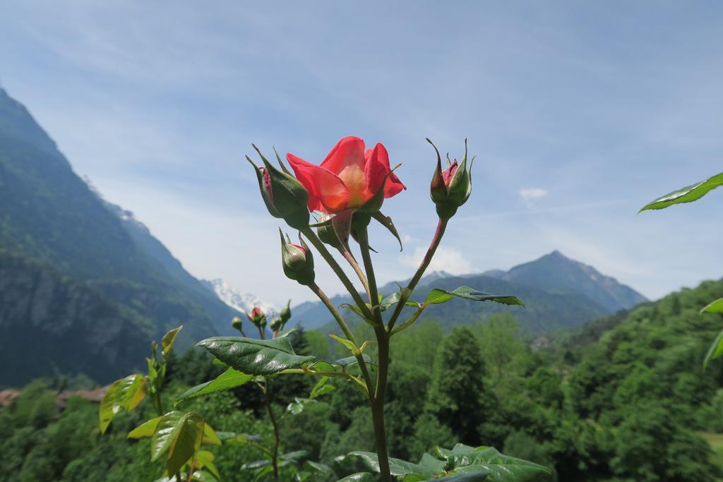 B&B Alpe Veglia Varzo Dış mekan fotoğraf